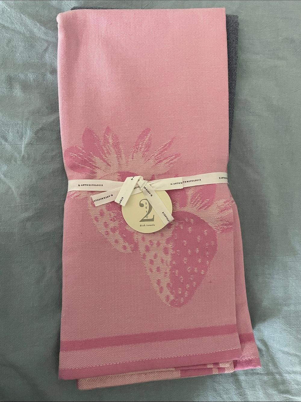 NWT Anthropologie Pink Strawberry, Blue Cake Kitchen Towels - Set of 2
